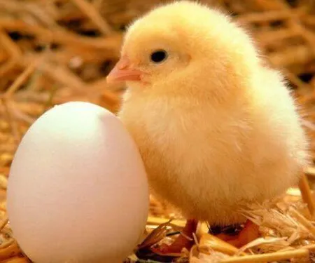 Hotel&suites * איסטמבול